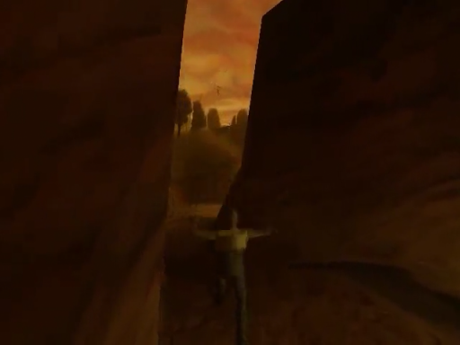 Shadow Man