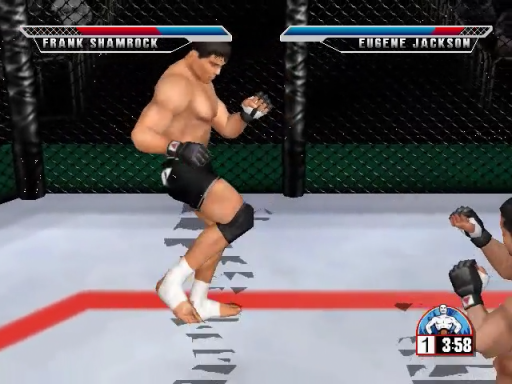 Ultimate Fighting Championship