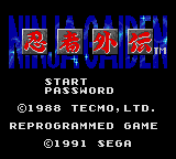 Ninja Gaiden