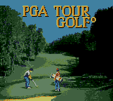 PGA Tour Golf