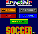 Sensible Soccer - European Champions