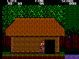 Danan: The Jungle Fighter