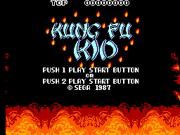 Kung Fu Kid