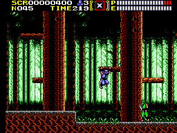 Ninja Gaiden