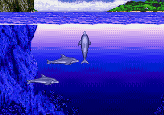 Ecco the Dolphin
