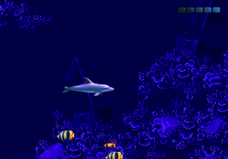 Ecco - The Tides of Time