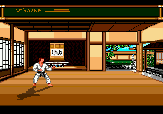 Budokan - The Martial Spirit
