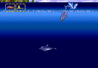 Ecco Jr.