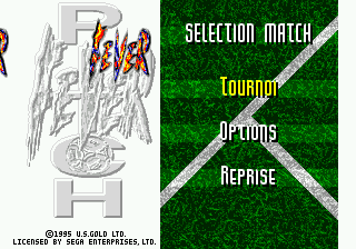 Fever Pitch Soccer