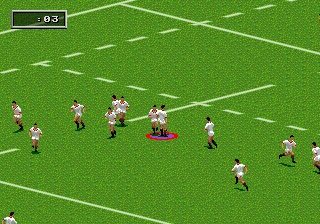 Rugby World Cup 95