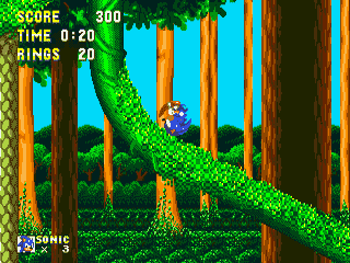 Sonic _ Knuckles