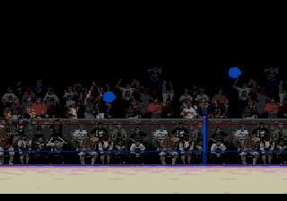 WWF WrestleMania - The Arcade Game