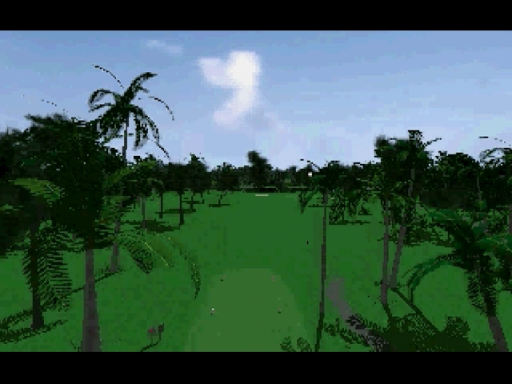 World Cup Golf - Professional Edition