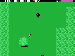 Ninja Princess