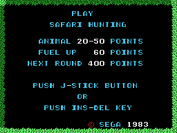 Safari Hunting